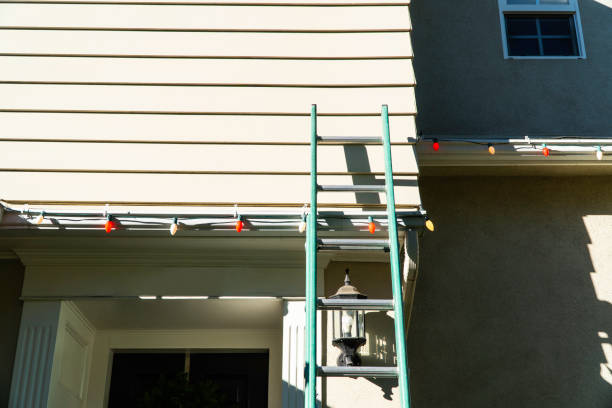 Best Steel Siding Installation  in Burns Harbor, IN