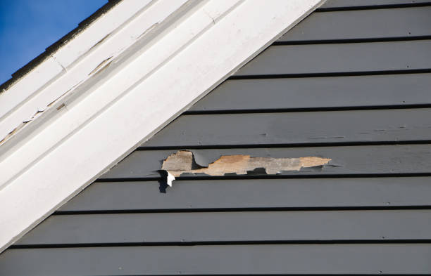 Best Fascia and Soffit Installation  in Burns Harbor, IN