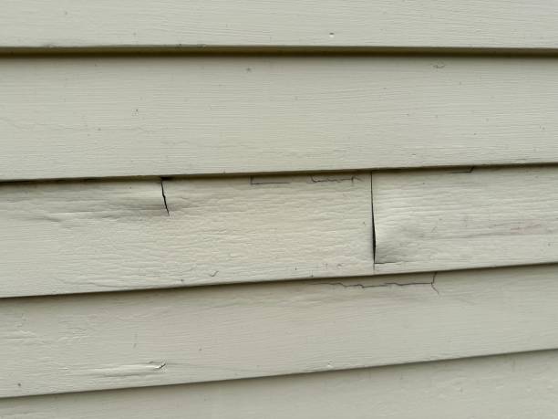 Best Historical Building Siding Restoration  in Burns Harbor, IN